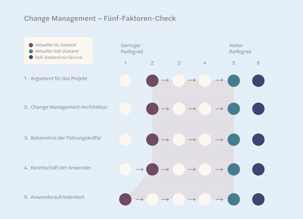 Change Management-Check für laufende Projekte